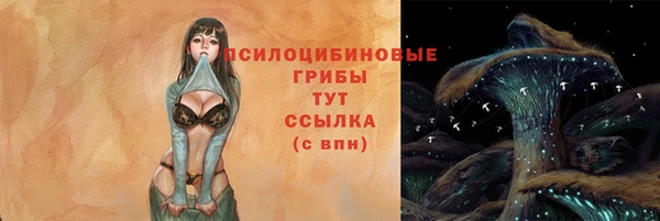 крисы Медвежьегорск