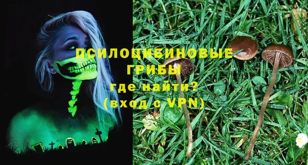 spice Михайловка
