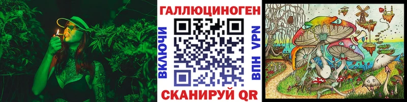 Псилоцибиновые грибы мухоморы  Купить  Сусуман 